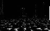 N/A